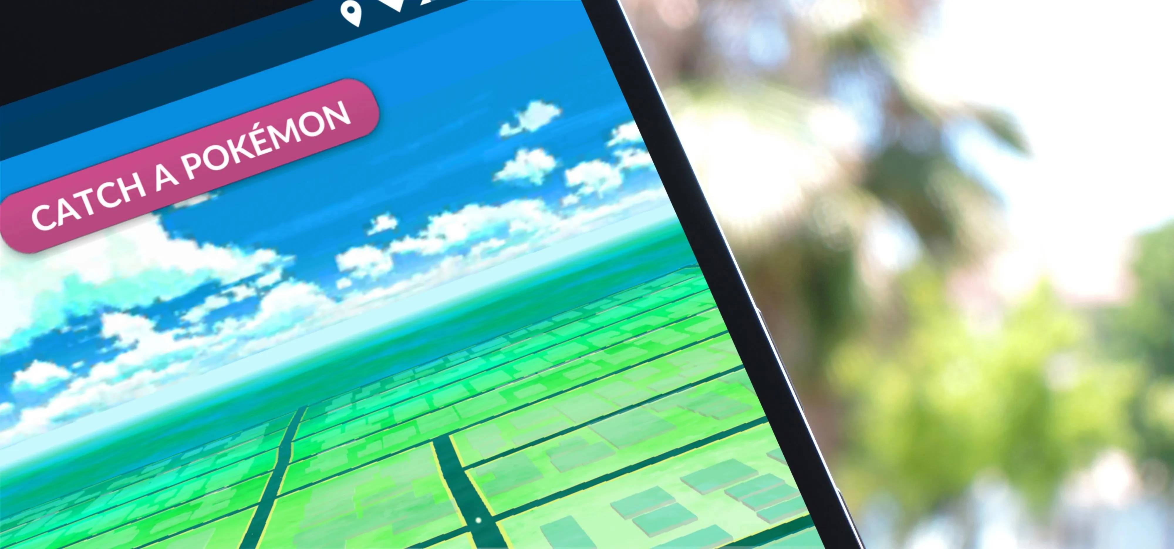 Game interface showing a Pokémon catching prompt on a mobile device with a scenic background.
