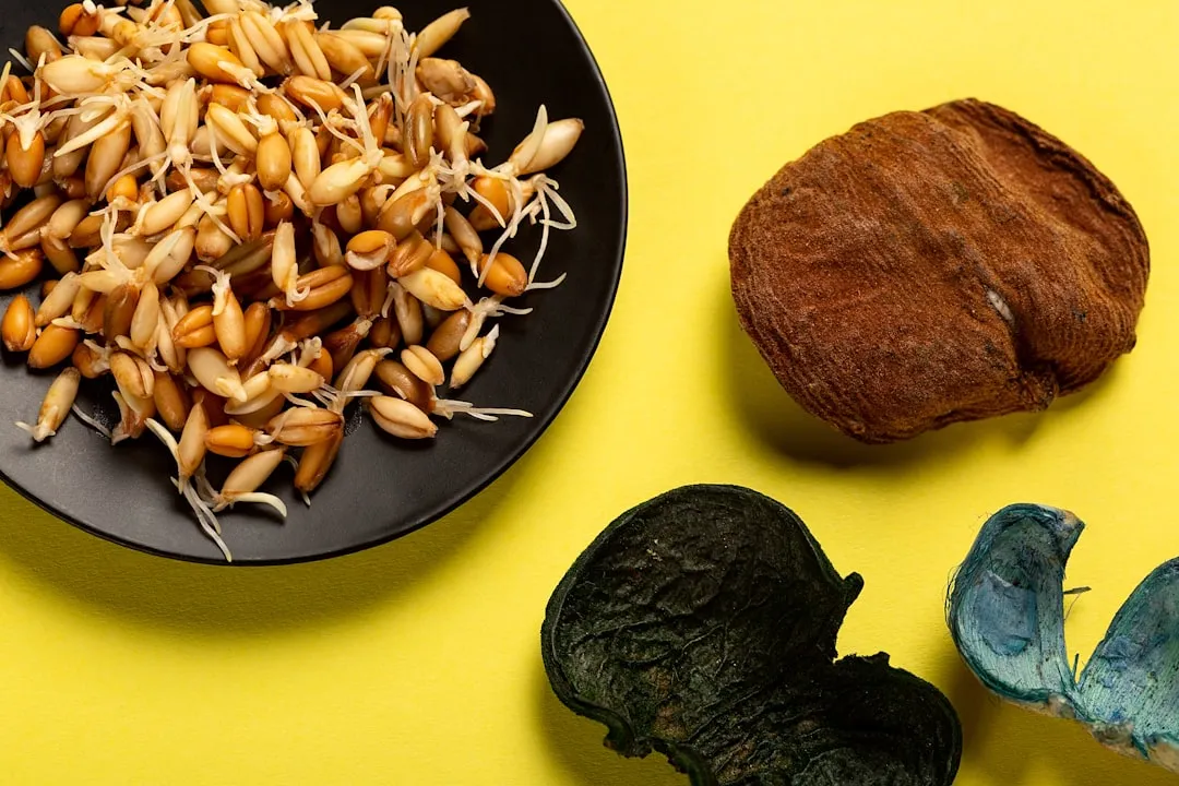 5 Trader Joe's Protein Hacks Transform Meals Fast cover